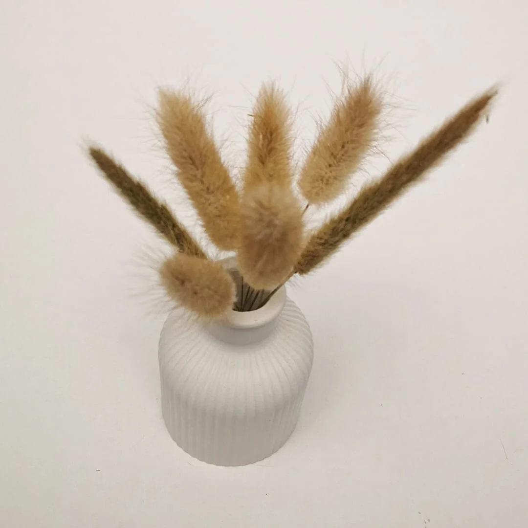 Vase en Plâtre Sculpté