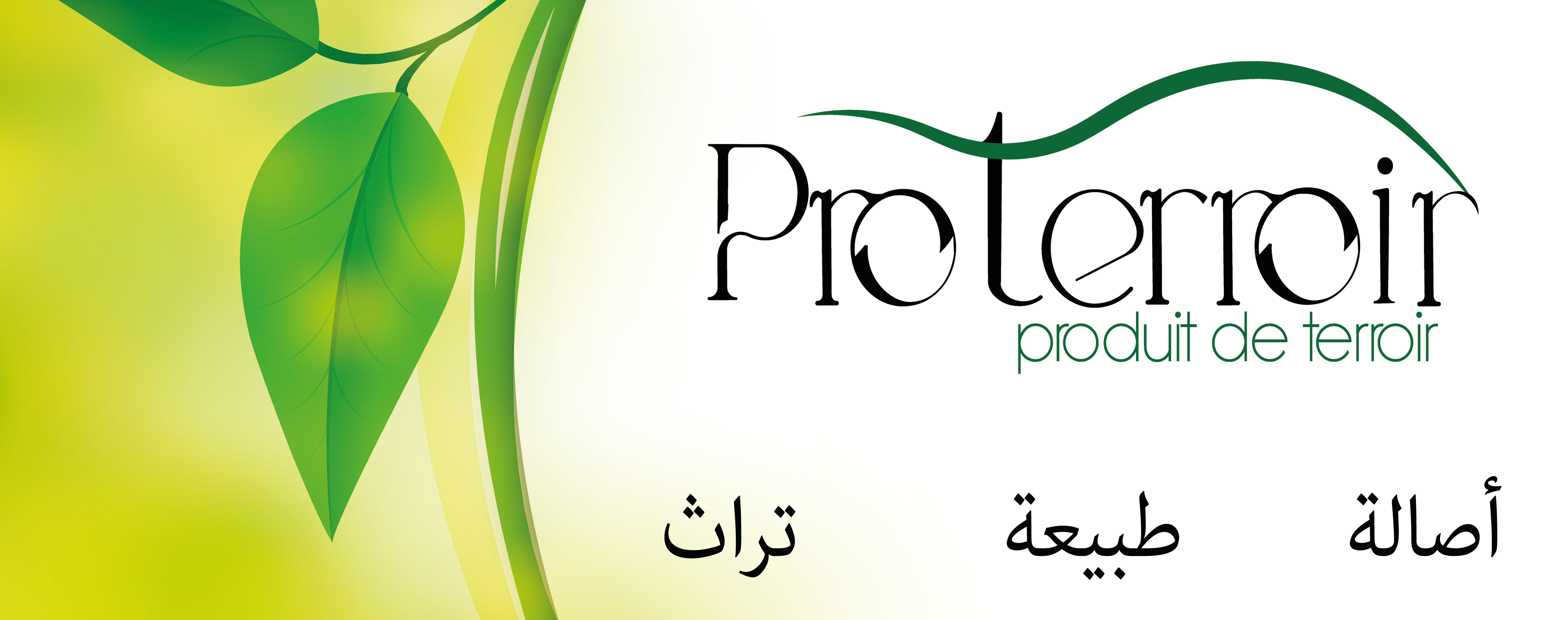Association ProTerroir : Valoriser le Terroir Marocain et Soutenir les Coopératives Locales
